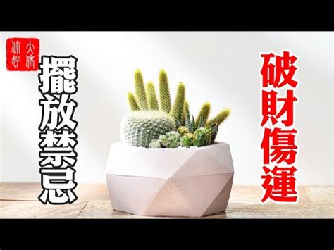 仙人掌放門口